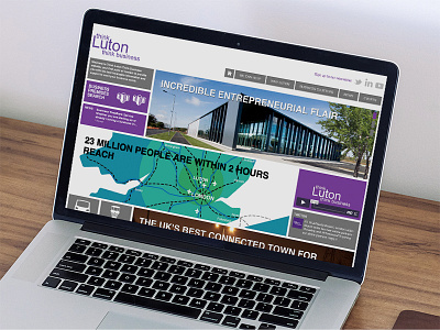UI for public sector business website business colour flat local government luton think luton ui website