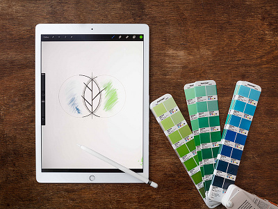 Creating the Chiltern Green logo. brand branding bts eco ipad pro leaves logo pantone process