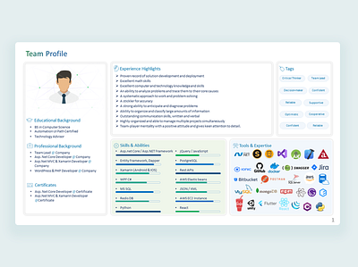 Team Profile graphic design resume skill set ui