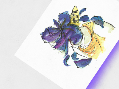 Metamorphosis – Hyacinthe greek hyacinthe illustration ink watercolor