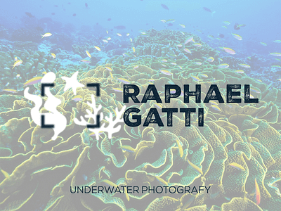 Raphael Gatti logo brand brand photograph branding identity logo logotype underwater photography