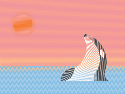 Orca animal illustration line line art lines orca whale