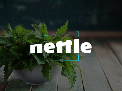 Nettle (1/3) branding logo typography