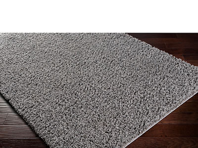 Small Area Rugs for the Front Door? furniture lighting rugs