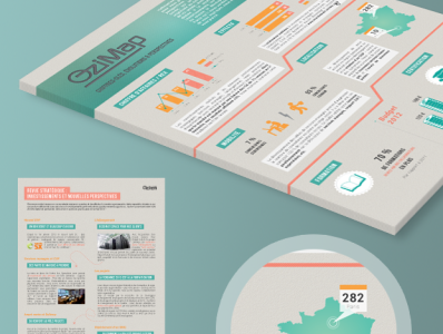 Ozitem - Infographics brochure illustrator indesign infographics photoshop print