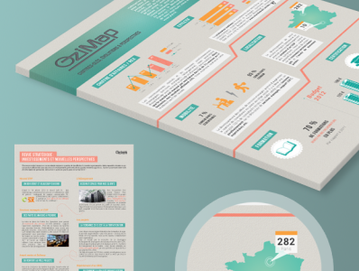 Ozitem - Infographics