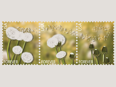 Stamp Project dandelion illustrator postage