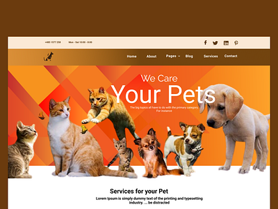 Pet care app branding design icon illustration logo typography ui ux vector