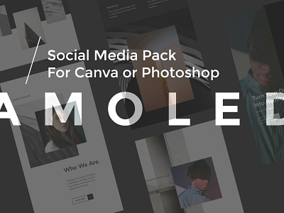 A M O L E D brand branding canva canva design canva template layout minimal socialmedia template
