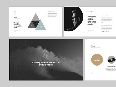 Rhino slides design geometric infographic keynote layout minimal powerpoint presentation profile slide typography