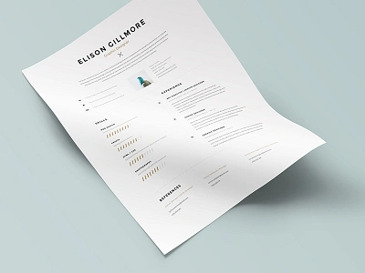 CV/Resume a4 cv document docx mac pages print resume template us win word