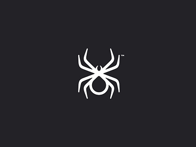 Spider "Network" cloud secure security server spider spider logo web