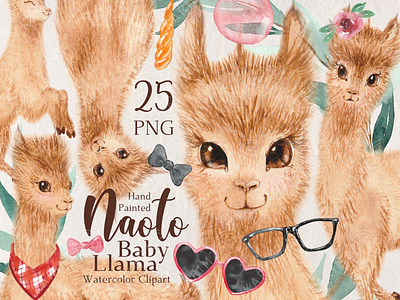 Watercolor Llama clipart, Alpaca PNG