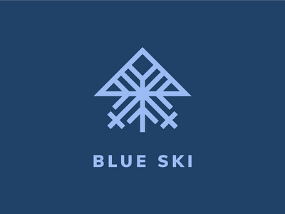 blue mountains in australia australia brand branding illustration logo mountain poland resort ski snow vector winter