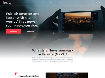 NaaSty Landing page design ui ux web