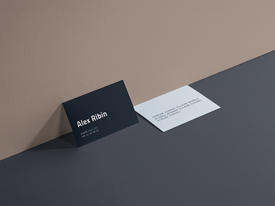 Business cards for Alex binary branding businesscards cards code colors design it layout minimal personalbranding simple typography