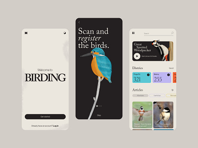 Birding - Avistamiento de aves branding design graphic design illustration ui visua