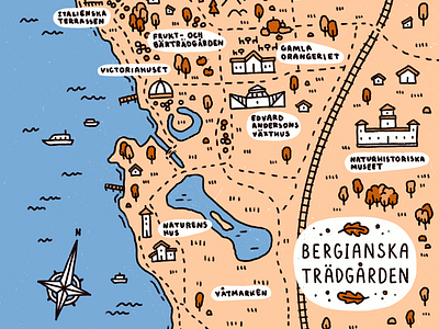 Bergianska map autumnal bergianska botanical garden illustration map map design procreate stockholm
