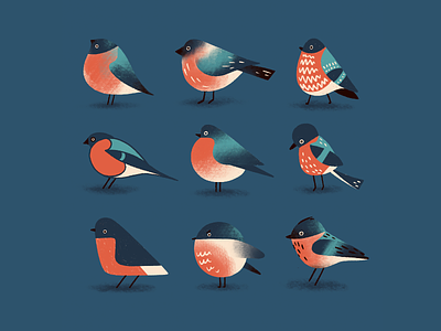 Birbs style exercise bird birds digital illustration illustration procreate