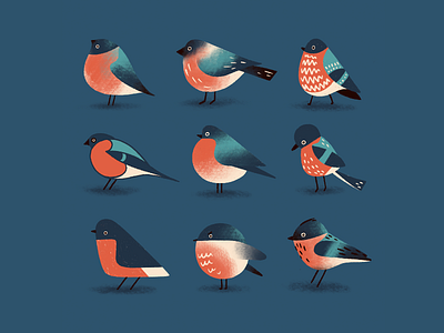 Birbs style exercise bird birds digital illustration illustration procreate