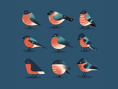 Birbs style exercise