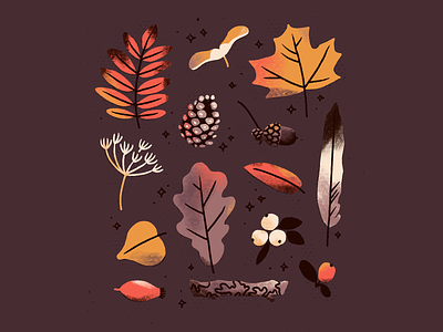 Autumn Finds