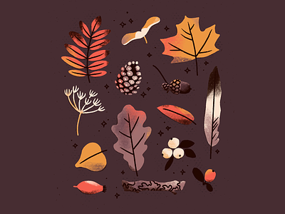 Autumn Finds acorn autumn digital illustration earth tones fall illustration leaf leaves pinecone plants procreate