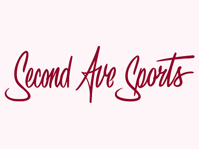 Script branding design handdrawn illustration logo typography vector
