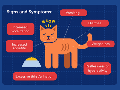 Pet medical infographic cats diagram illustration infographic