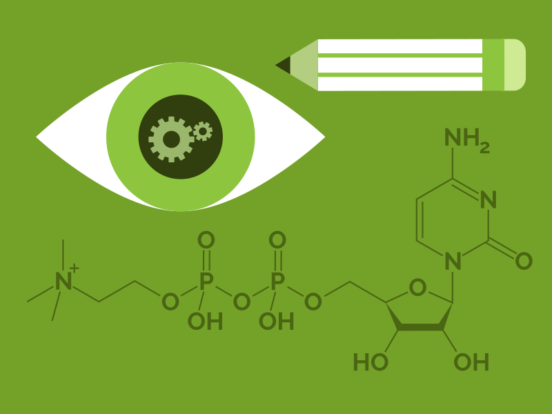 Focus Boosting molecule illustration pencil eye infographic