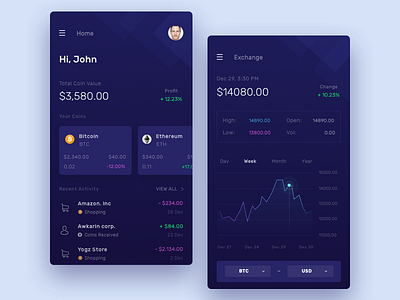 Crypto Wallet Exploration app bitcoin crypto cryptocurrency dashboard design icon mobile payment token ui wallet