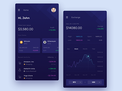 Crypto Wallet Exploration