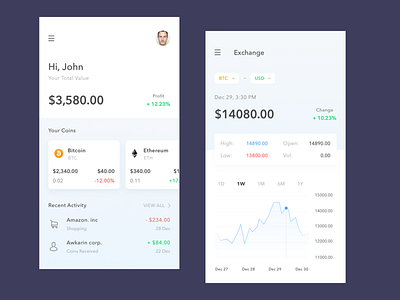 Crypto Wallet Exploration - White