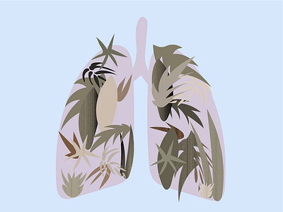 lungs