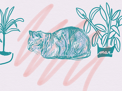 Sketching Mar cat digital lines loose minimal plants sketch watercolor