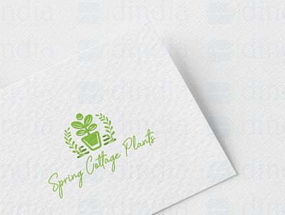 Spring Cattage Logo design graphic design logo vector