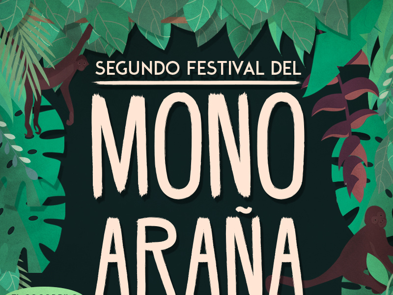 Mono araña by Diana Urquiza on Dribbble