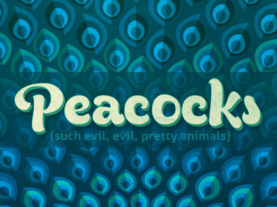 Peacocks animals colors texture type vectors