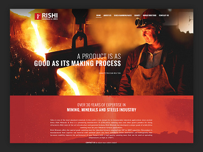 Rishi Web page design clean design experience landing minerals ores page ui user web