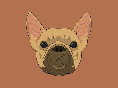 Socks the French Bulldog bulldog dog french illustration illustrator portrait puppy texture vector