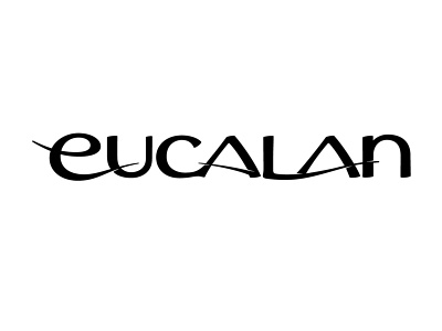 Eucalan branddevelopment branding custom lettering eucalyptus fine fabric wash gentle flow hand lettering identitydesign lanolin lettering logo design product branding silk typography word mark design