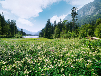 Hintersee Lake hintersee lake mountains photo