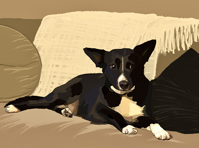 Delilah digital illustration digital painting illustration pet portrait portrait procreate