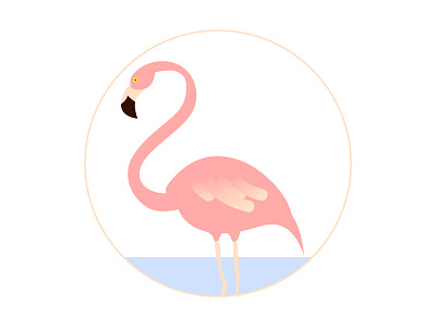 The Flamingo illustration