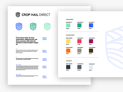 Crop Hail Direct Visual guideline - work in progress