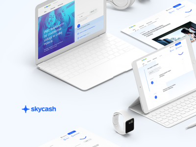 SkyCash.com cash financial home landing page mobile sky sky cash
