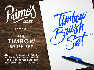 Timbow Brush Set for Procreate brushes brushlettering procreate tombow