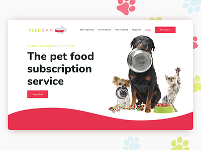 FeedSam - Landing Page cat cat food dog dog food product design subscriptions uidesign uxdesign web design