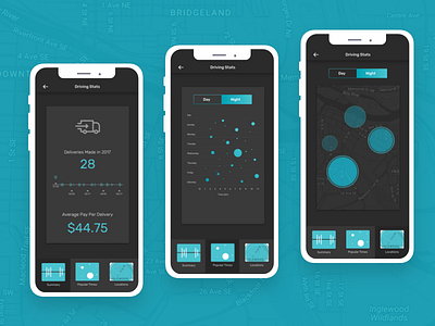 Crowd Car - Driver Stats delivery delivery app delivery service product design uidesign uxdesign