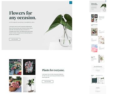 WordPress landing Page